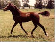 Drifter @ 6 months