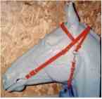 Red Biothane Bridle