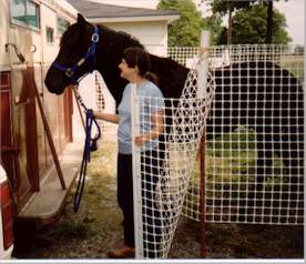 Horse & Gate
