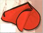 Enflish cover