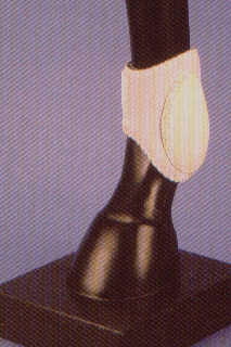 Ankle Boot