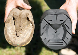 Bare Sole