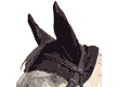 Comfort Ears