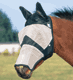 Long flymask with ears