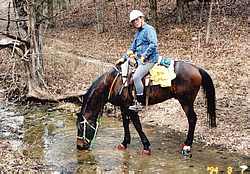 Drifter Age 7