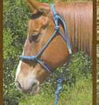 Rope Halter