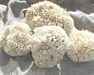 Sheepwool Sponge